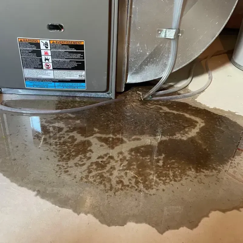 Appliance Leak Cleanup in Bagdad, AZ